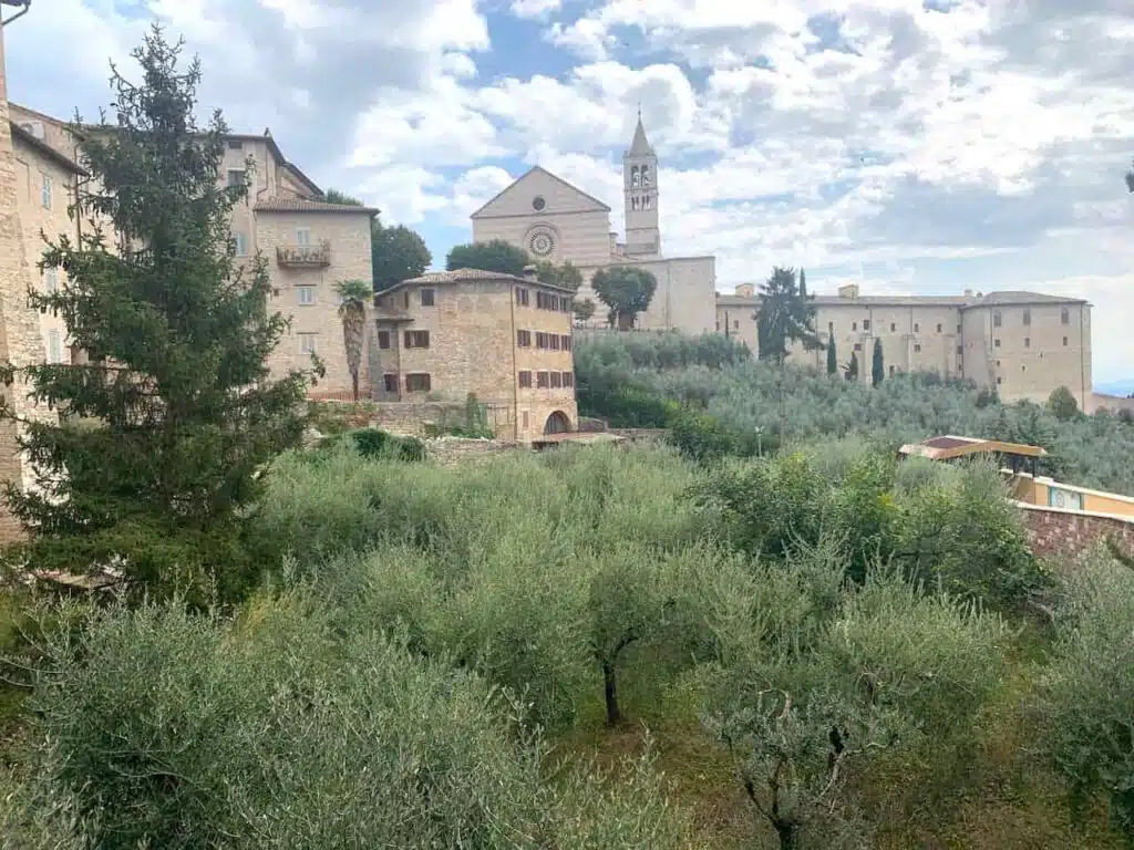 Basilica of St Claire of Assisi Italy 