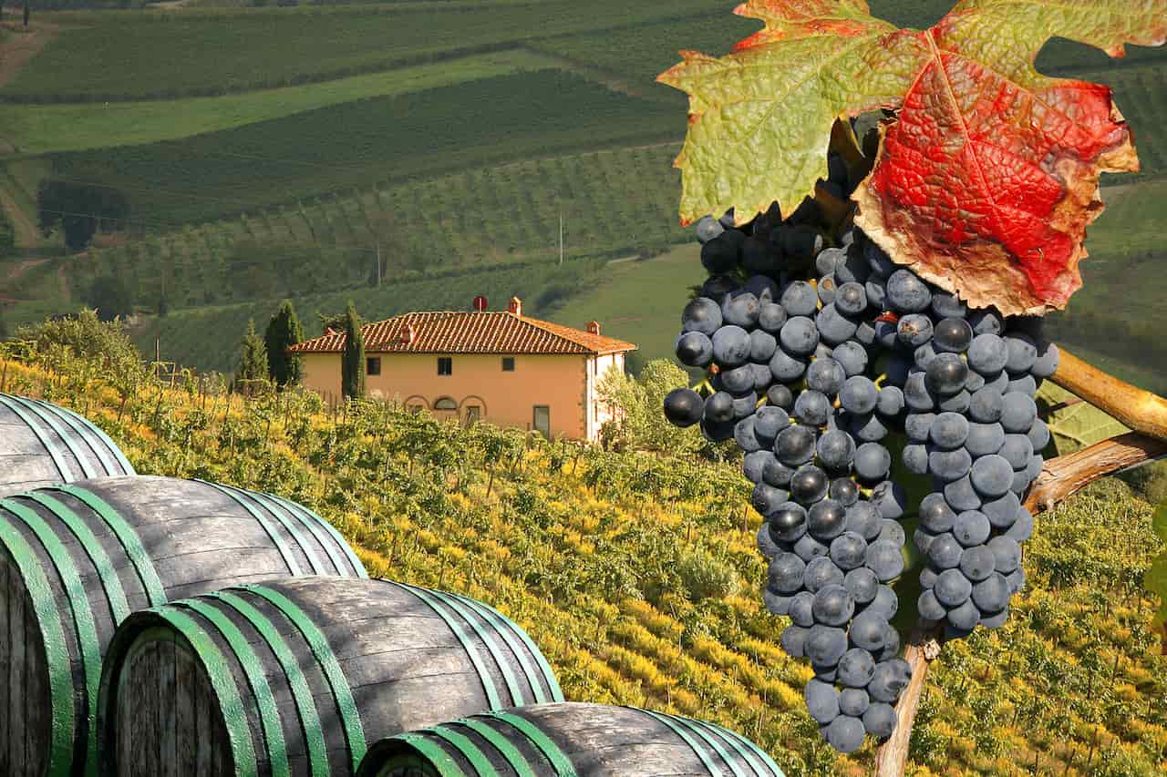 Touring a Chianti vineyard is a must-have item on any 3 day Tuscany itinerary