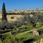 Jerusalem from the Mount of Olives