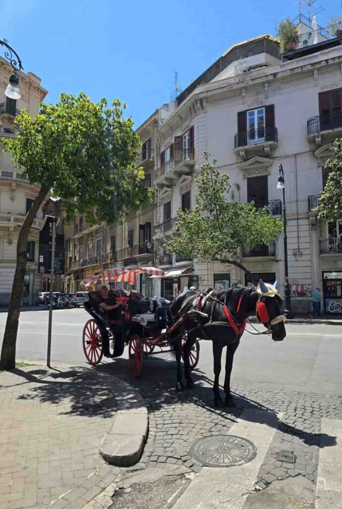 one day in palermo