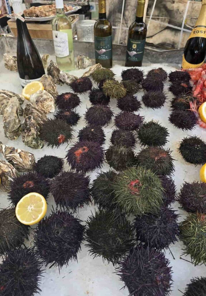 20 Unforgettable Things to Do in Palermo, Italy: Churches, Cannoli, and Crystal-Clear Seas 15 Sea urchins on Ballarò market in Palermo