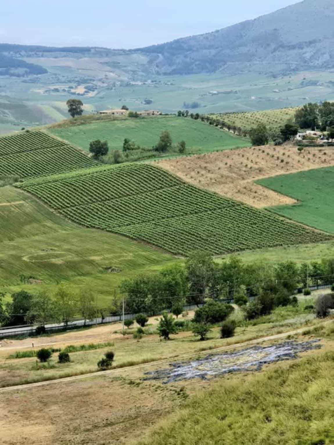 Segesta Sicily: Why This Ancient Temple Is the Most Magical Place You’ve Never Heard Of 2 The landscape surrounding Segesta Sicily