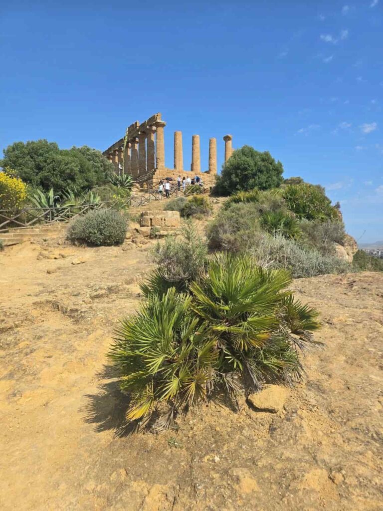 Unlock the Secrets of the Valley of the Temples: A Curated Guide to Sicily’s Most Iconic Landmark! 5 The Temple of Hera in the Valley of the Temples Italy