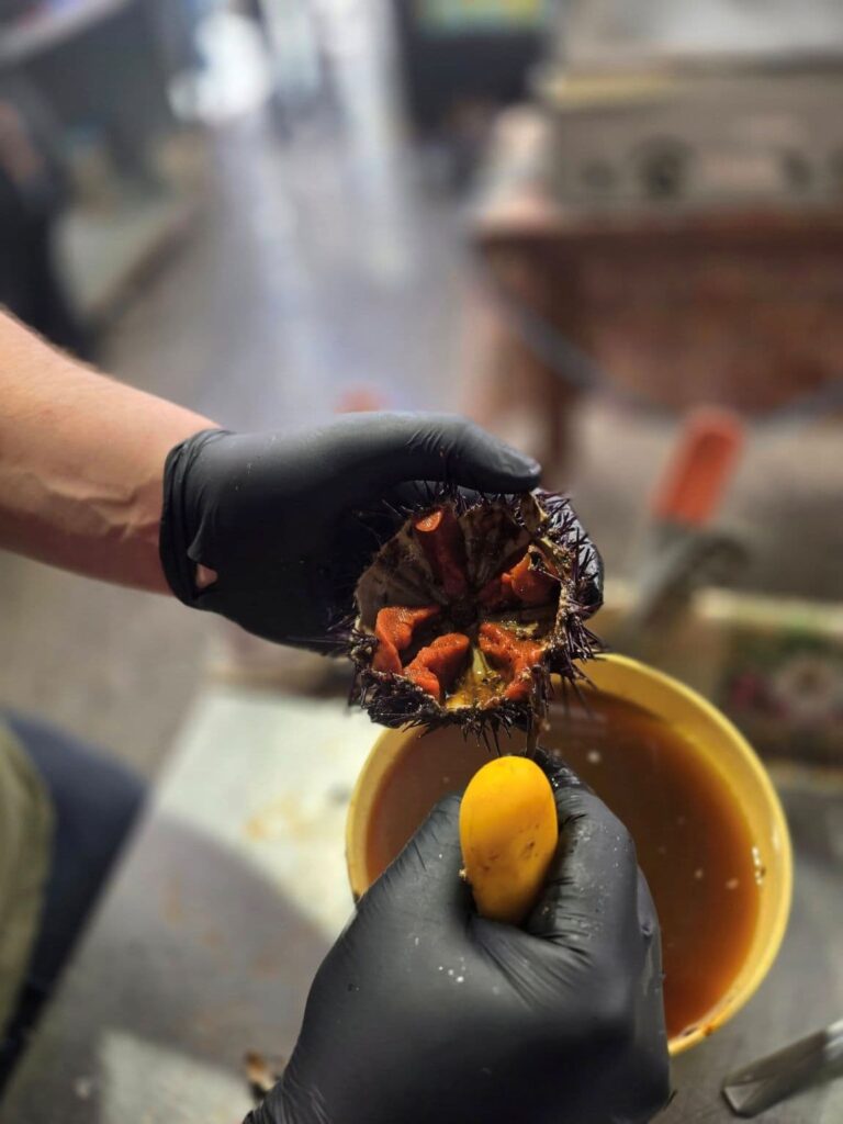 Discover the Most Amazing Palermo Food Markets — 3 Must-Visit Spots! 3 Cleaning a sea urchin for eating at the Ballaro market in Palermo
