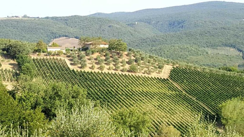 The Palagione, a top agriturismo Tuscany