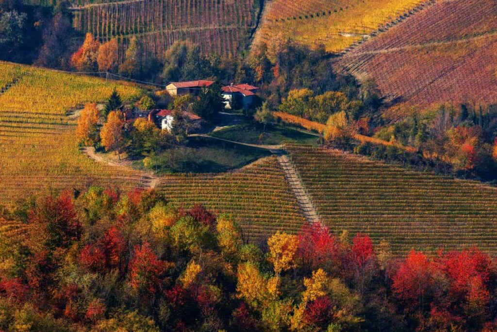 15 Magical Places to Explore Italy in the Fall Right Now 3 Vineyards of Piedmont, Italy in the fall